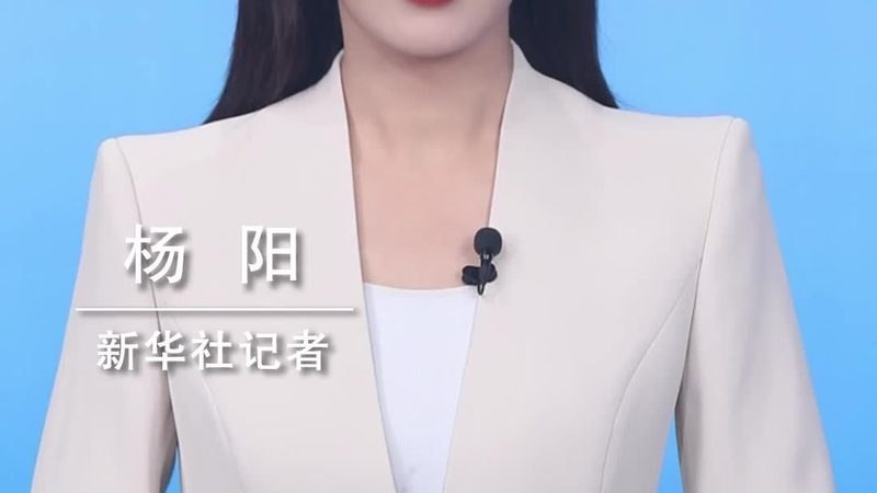 上海知识图谱标准化建设的路径与挑战